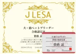 猫 ブリーダー 免許は必須？【完全ガイド】資格、登録、開業の全てを徹底解説